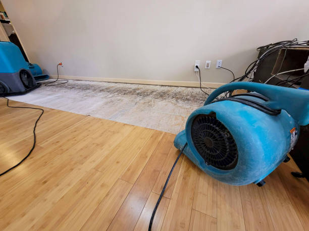 Professional Water Damage Repair technician working in Logan, IA